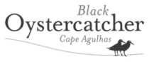 Black Oystercatcher