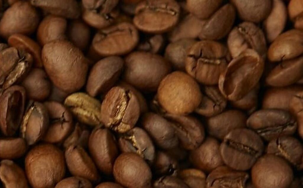 Freshly roasted Trade Route coffee beans, ground to order
